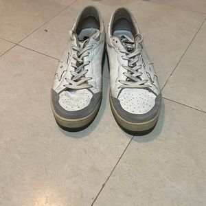 White and grey golden goose